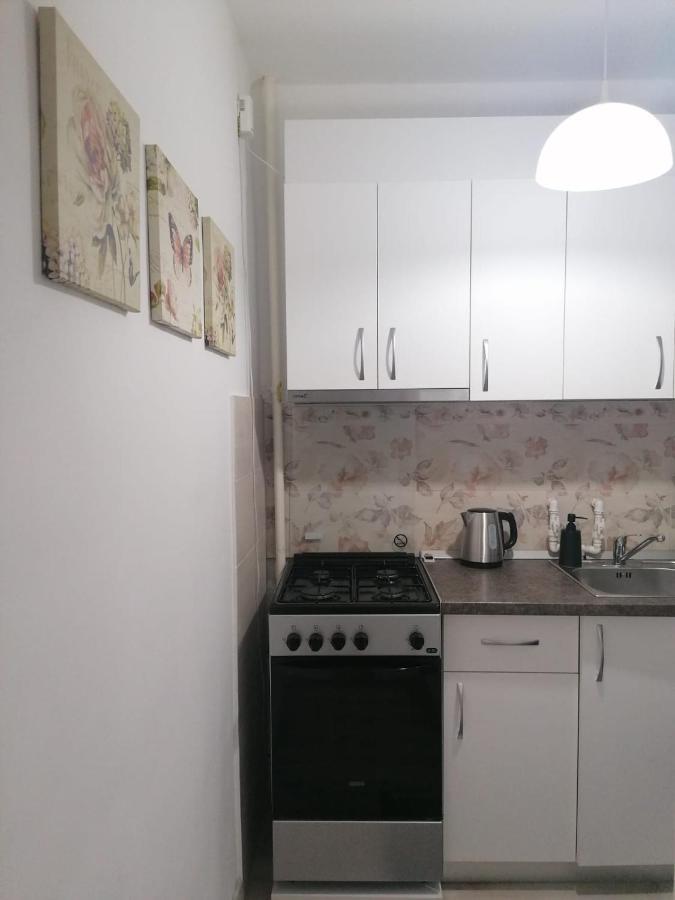 Laroka House Cosy And Modern Apartment Universitate-City Centre Бухарест Экстерьер фото